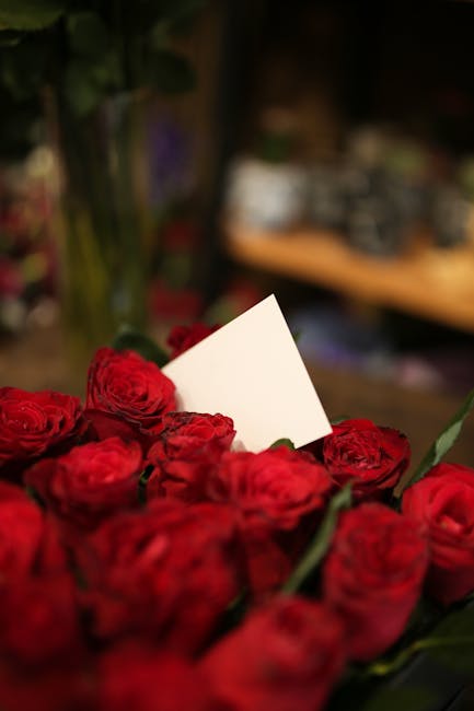 A close-up view of a bouquet of fresh, vibrant red roses with tightly layered petals, accompanied by green stems and leaves. The roses are arranged in a floral display, with some blossoms slightly ope